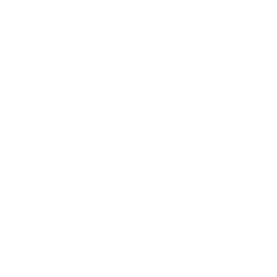 Logo White